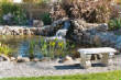 waterfeatures/pond1.jpg