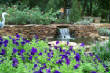 waterfeatures/pond8.jpg